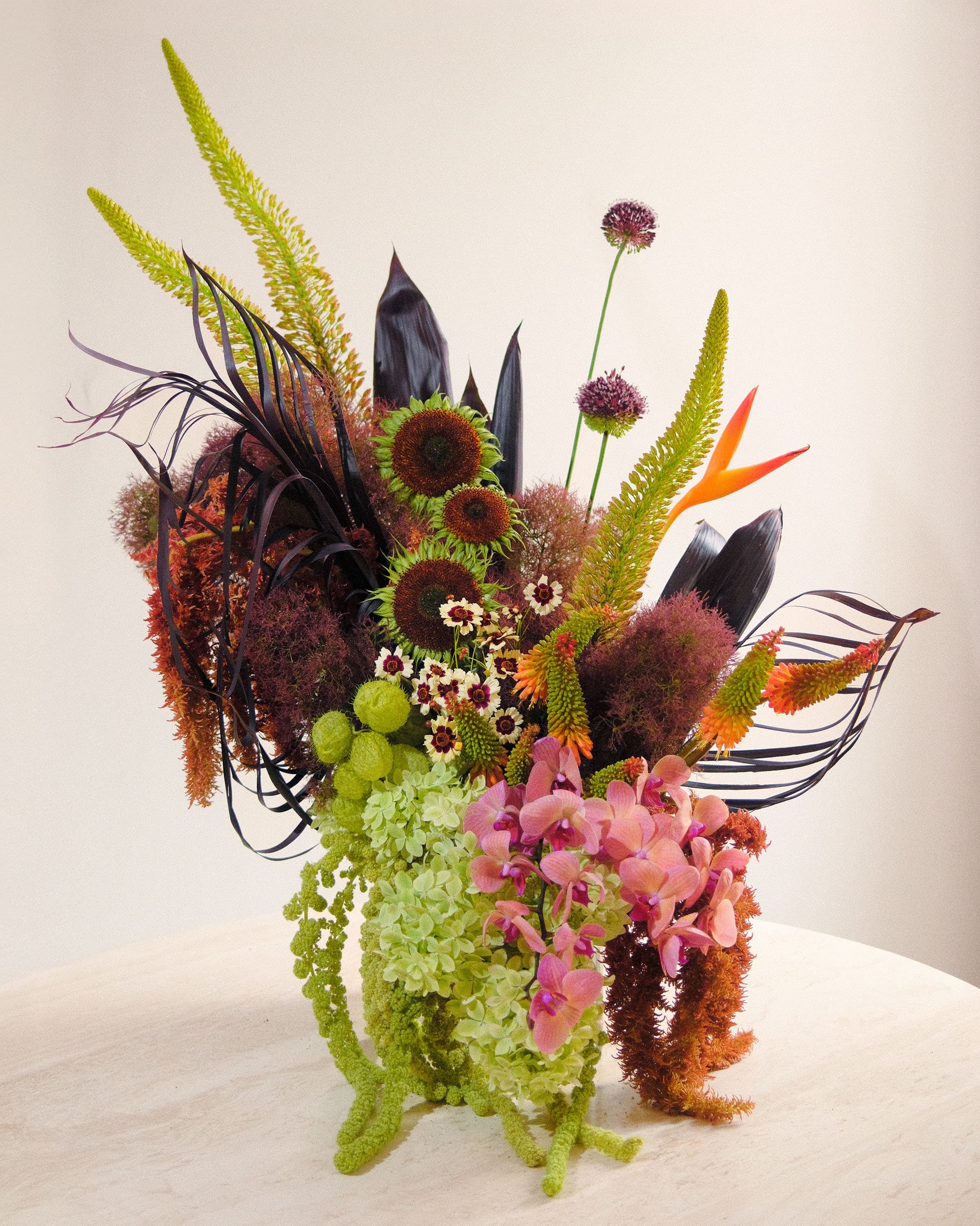 English alt text maybe